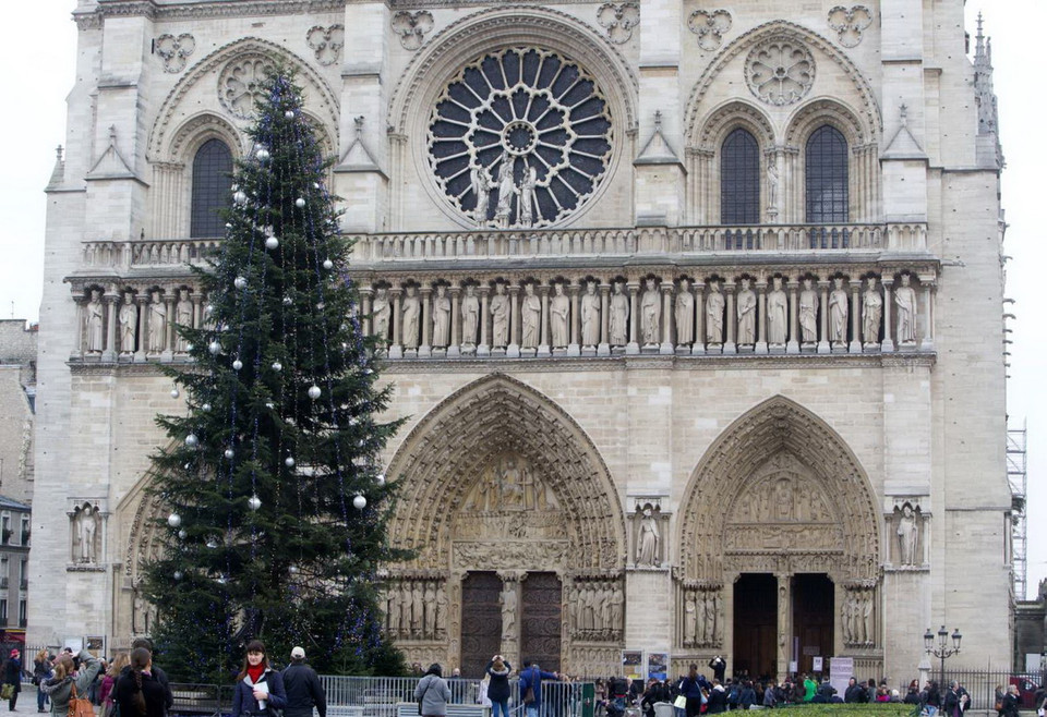 Paris (Pháp): Cây thông phía trước nhà thờ Notre Dame. (Nguồn: AP)