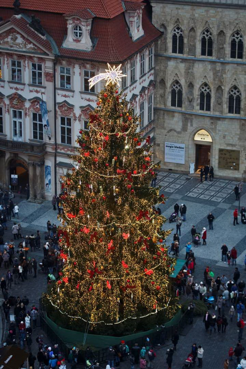 Prague (Cộng hòa Séc): Cây thông ở Quảng trường Old Town. (Nguồn: Getty Images)