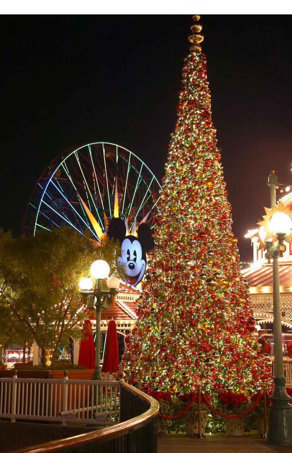 Disneyland Resort (California): Cây thông tỏa sáng ở công viên Disneyland. (Nguồn: PR Newswire)