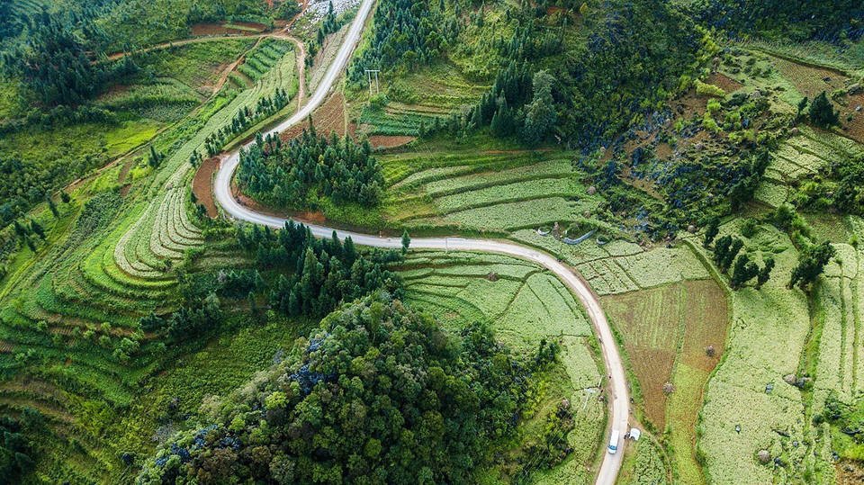 Khung cảnh cánh đồng hoa tam giác mạch nở rộ hai bên đường trên Tỉnh lộ dẫn vào huyện Lũng Cú, nơi có địa danh du lịch nổi tiếng quốc gia Cột cờ Lũng Cú. (Ảnh: Trọng Đạt/TTXVN)