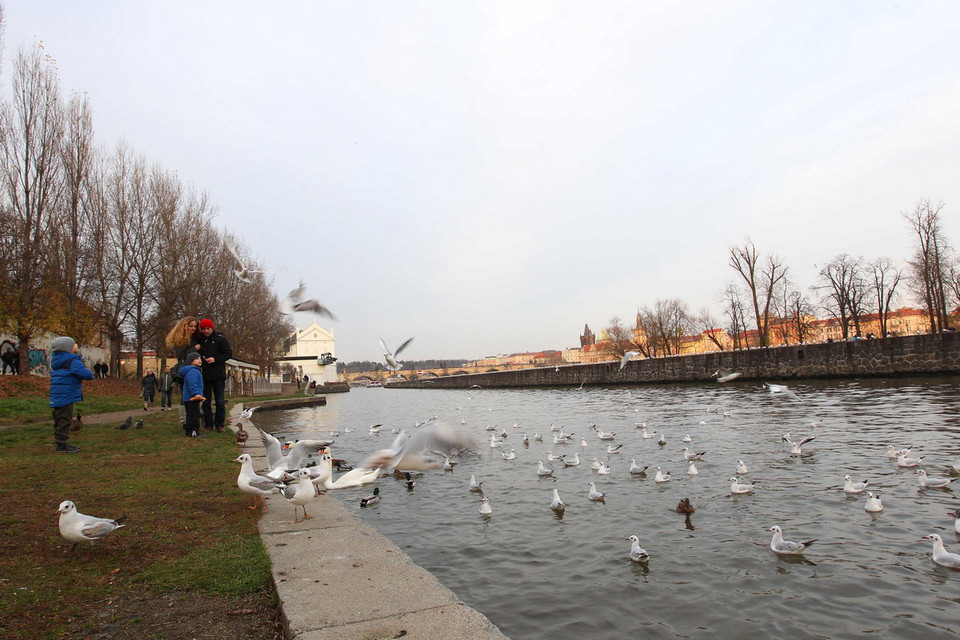 Khung cảnh nên thơ, thanh bình bên dòng sông Vltava mỗi khi hoàng hôn xuống. (Ảnh: Quang Hải/TTXVN) 