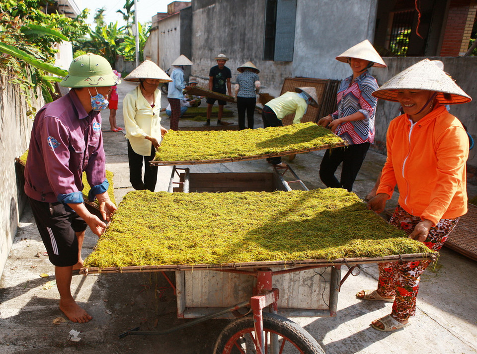  Phơi thuốc lào. (Ảnh: Lâm Khánh/TTXVN)
