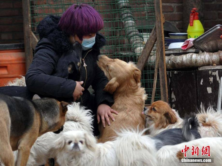 Azi và bố cô đã nhận chăm sóc cho hơn 300 con chó và mèo vô gia cư trong 13 năm qua. (Nguồn: CCTVNews)