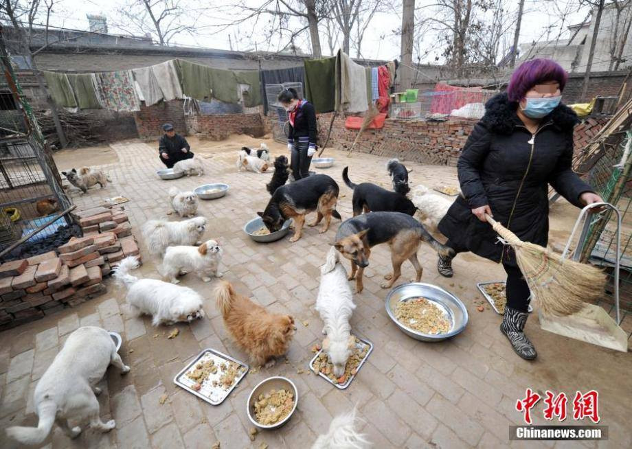 Mặc dù hai bố con Azi đang đối mặt với nhiều khó khăn nhưng cô khẳng định mình vẫn tiếp tục nuôi dưỡng chúng. (Nguồn: CCTVNews)