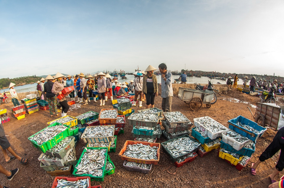 Bến thuyền tấp nập mỗi khi cá về vào buổi sáng hoặc chiều trên đảo Nghi Sơn. (Ảnh: Trọng Đạt/TTXVN)