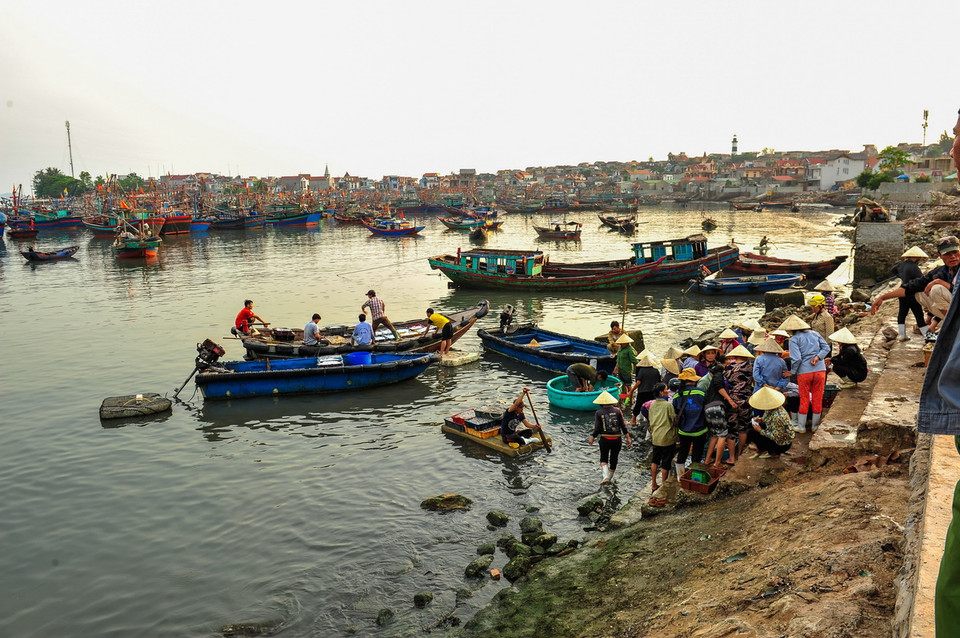 Bến thuyền tấp nập mỗi khi cá về vào buổi sáng hoặc chiều trên đảo Nghi Sơn. (Ảnh: Trọng Đạt/TTXVN)