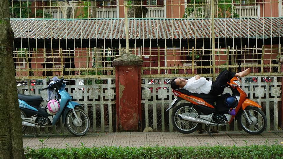 (Ảnh: Võ Phương/Vietnam+)