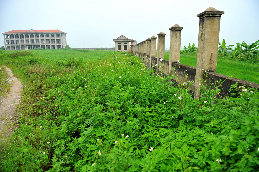 Toàn bộ ngôi trường cấp 3 tiền tỷ này bị bỏ hoang giữa muôn trùng cỏ cây, mặc nắng mưa hủy hoại. (Ảnh: Minh Đức/TTXVN)