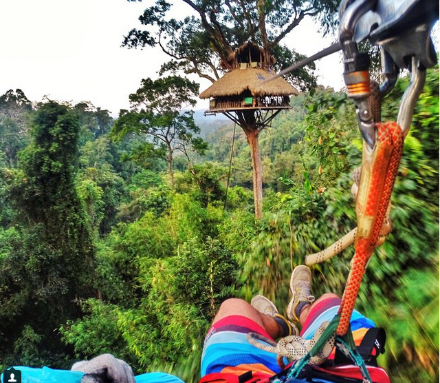 Khu bảo tồn tự nhiên Bokeo, Lào: Khu bảo tồn rộng 1230km2, là nơi sinh sống của loài vượn má đen bản đia. (Nguồn: Instagram)