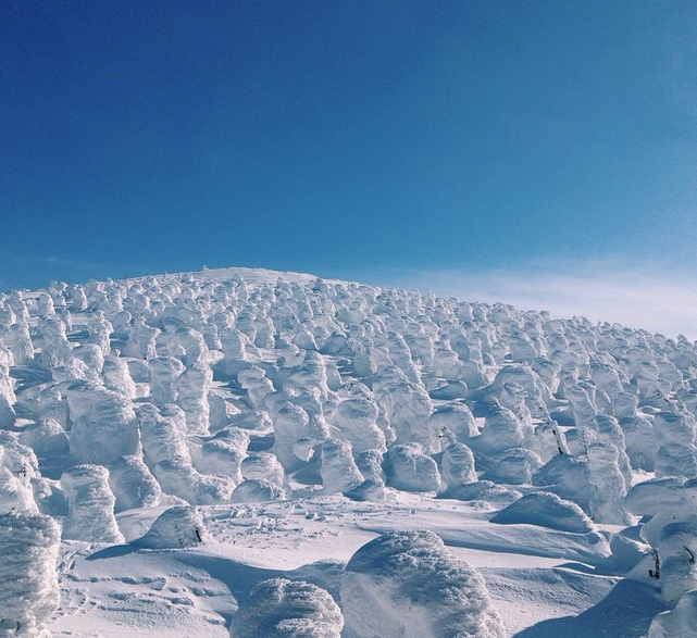 Khu trượt tuyết Zao Onsen: Ở nơi đây bạn sẽ tìm thấy những 'quái vật tuyết' làm từ cây có hình dáng hết sức kỳ lạ do ảnh hưởng của nhiều trận bão tuyết lớn. (Nguồn: Instagram)
