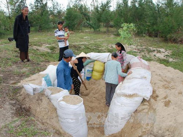 Nhân dân xã miền biển Duy Hải, huyện Duy Xuyên, Quảng Nam đào hầm tránh bão. (Ảnh: Nguyễn Sơn/TTXVN)