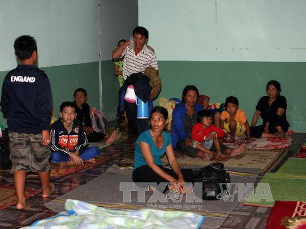  Các hộ dân xã Minh Hải, huyện Bình Sơn ( Quảng Ngãi) chuyển đến nơi an toàn để tránh bão. (Ảnh: Trần Lê Lâm/TTXVN)