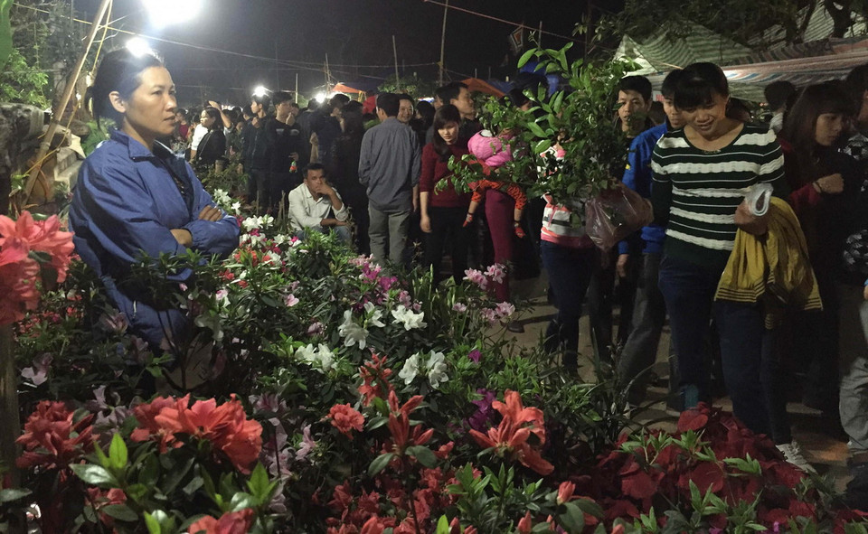 Các loại hoa được bày bán rất đa dạng và phong phú.