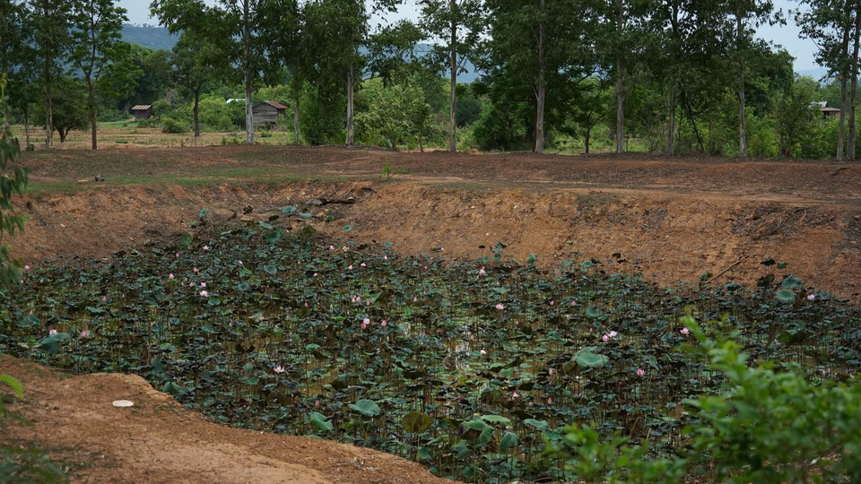 Phía trước nhà mồ Ta Mok vẫn là một hồ sen khá rộng.
