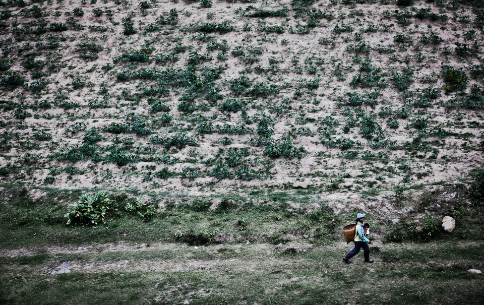 Hai mẹ con một người nông dân đi ngang qua một thửa ruộng trồng hoa màu khô cháy và đất trắng xóa ở xã Phước Chính, huyện Bác Ái. (Ảnh: Trọng Đạt/TTXVN)