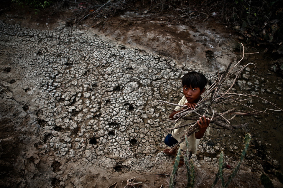 Em Thập Văn Vàng, ở xã Bắc Sơn, huyện Thuận Bắc nhặt những cành cây khô ở trên con suối khô kiệt mang về làm củi. (Ảnh: Trọng Đạt/TTXVN)