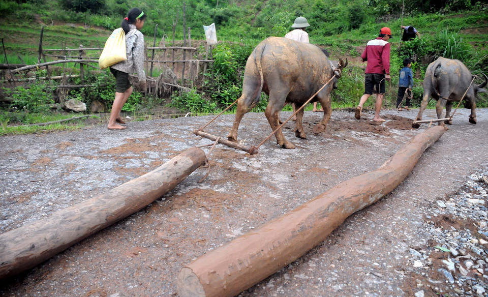 Hai phía bên phải, trái của bản có hai đường đi ra trung tâm xã và liên thông với các bản khác, nhưng các lối đi này đều là đường đất, mùa mưa chỉ có thể đi bộ... (Ảnh: Hải Sơn/Vietnam+)