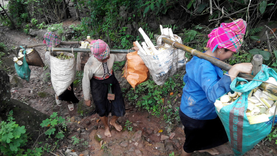 Hầu hết các hộ dân trong bản mong muốn được Nhà nước hỗ trợ để chuyển nhà đến nơi ở khác, bởi cứ đêm nào có mưa to là bà con dân bản lại sợ không dám ngủ, có ngủ giấc cũng chập chờn. (Ảnh: Hải Sơn/Vietnam+)