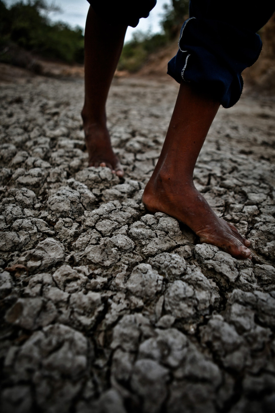 Sự khốc liệt của tự nhiên in hằn trên đất. (Ảnh: Trọng Đạt/TTXVN)