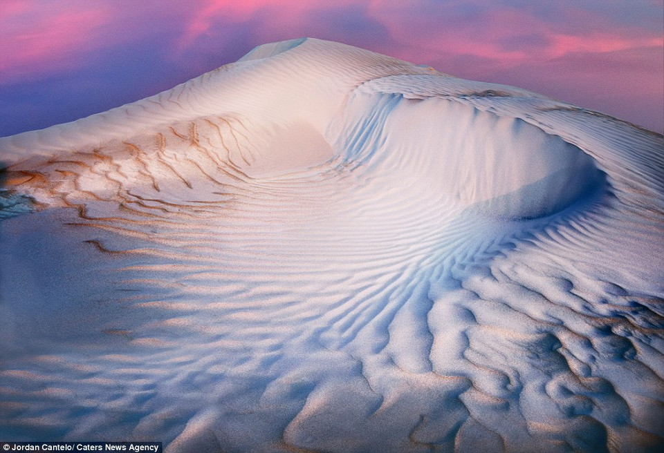 (Nguồn: Dailymail)