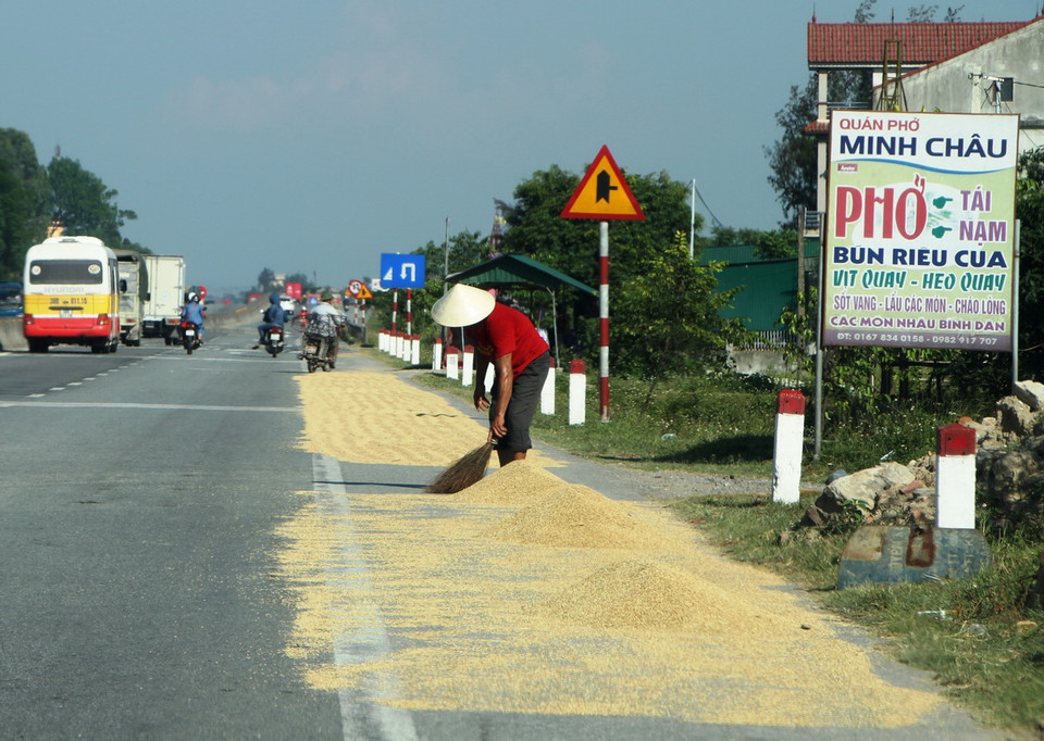 Người dân lấn chiếm lòng, lề đường trên tuyến QL 1A, đoạn qua huyện Cẩm Xuyên (Hà Tĩnh) để phơi lúa. (Ảnh: Phan Quân/TTXVN)