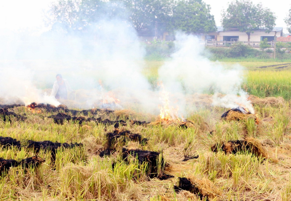 Phần rơm, rạ sau khi gặt xong nông dân một số địa phương ở tỉnh Hà Nam tái sử dụng bằng cách đốt ngay tại đồng gây ô nhiễm không khí. (Ảnh: Đại Nghĩa/TTXVN)