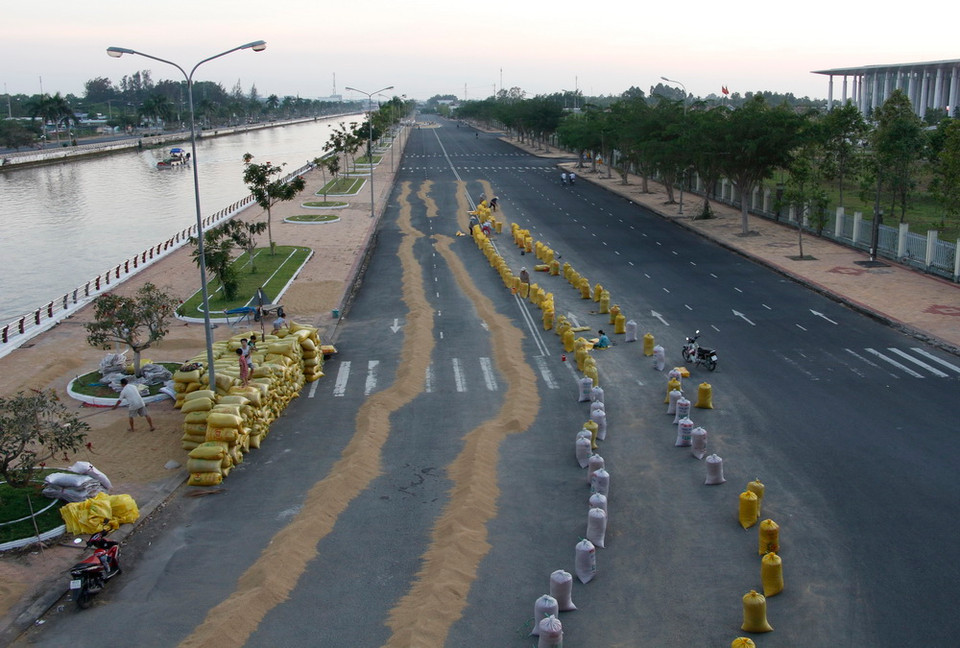 Người dân phơi lúa trên đường giao thông tại phường 4, thành phố Vị Thanh (Hậu Giang). (Ảnh: Hồng Thái/TTXVN)