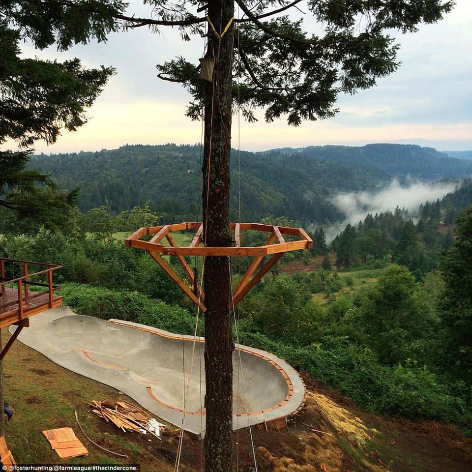 Nhà cây có 2 phòng, mỗi phòng rộng 200m2 được nối với nhau bằng cây cầu dài 7,6m. (Nguồn: dailymail.co.uk)