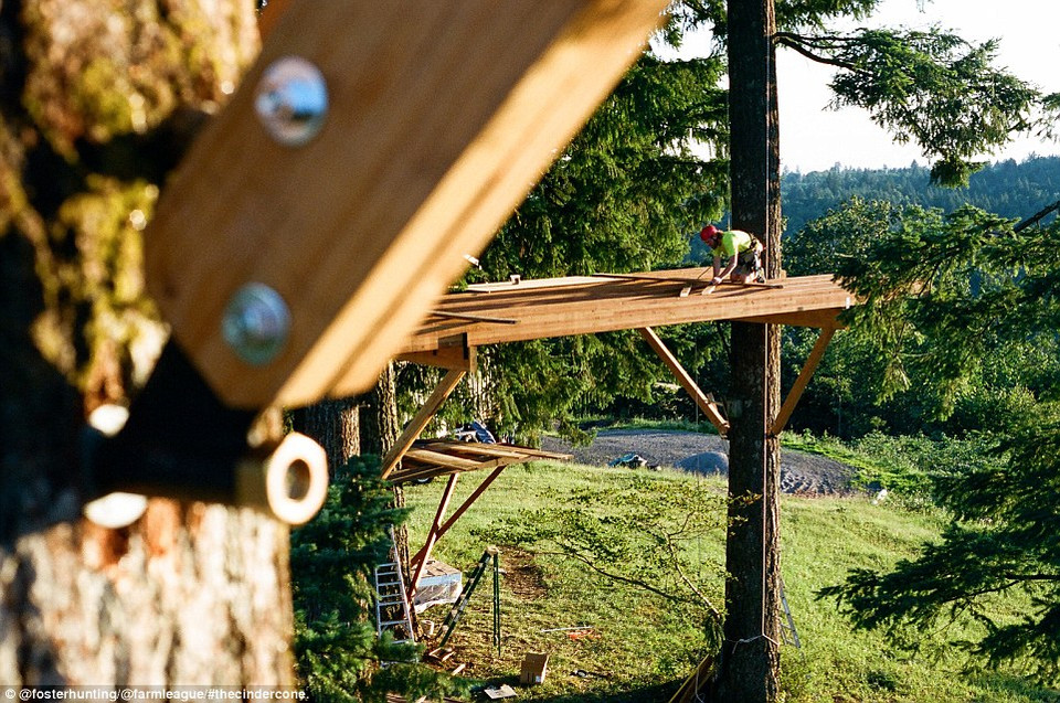 Bạn thân của Huntington, thợ mộc Tucker Gorman lo nhiệm vụ xây dựng mặt bằng của phòng xưởng trong giai đoạn xây dựng nhà cây. (Nguồn: dailymail.co.uk)