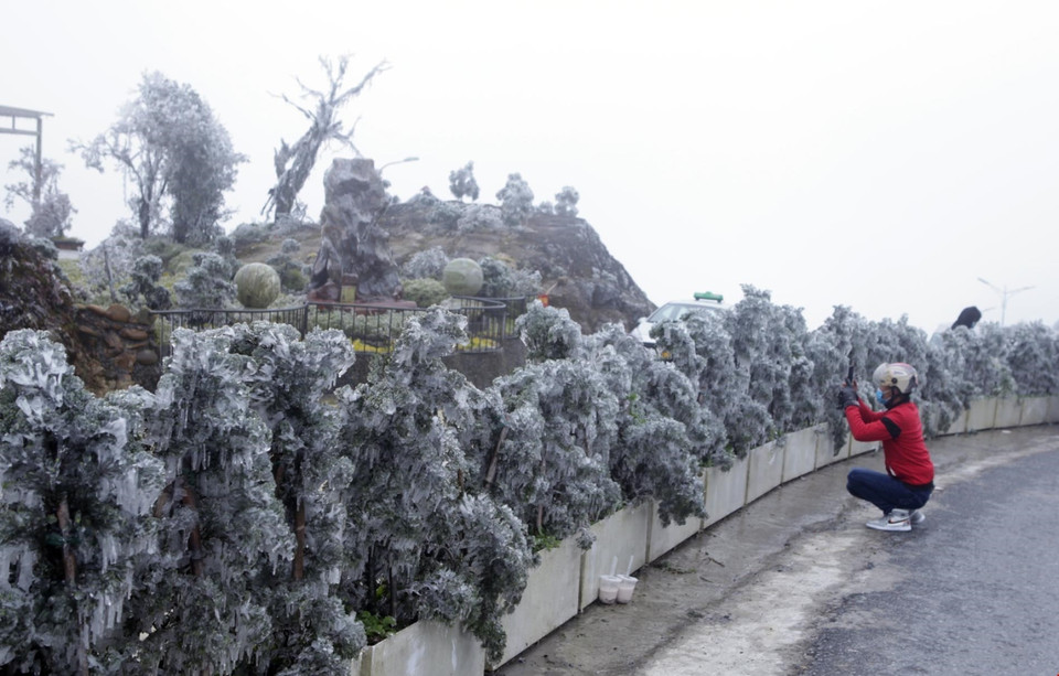Du khách tranh thủ chụp lại những tấm ảnh để lưu lại khoảnh khắc thiên nhiên kỳ thú này. (Ảnh: Quý Trung/TTXVN)