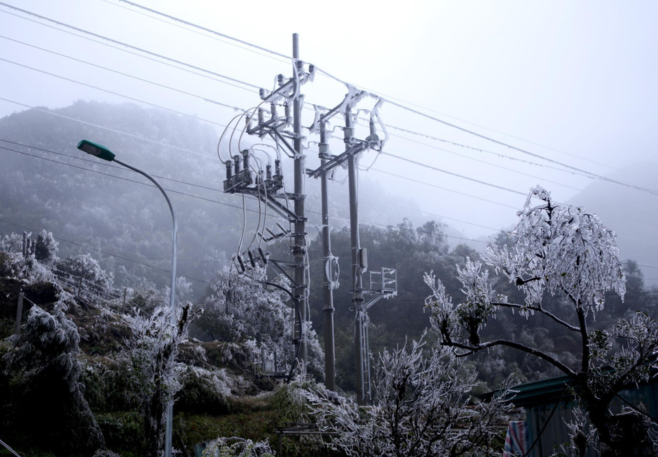 Trạm biến áp tại khu vực đèo Ô Quý Hồ đều được bao phủ một màu trắng. (Ảnh: Quý Trung/TTXVN)