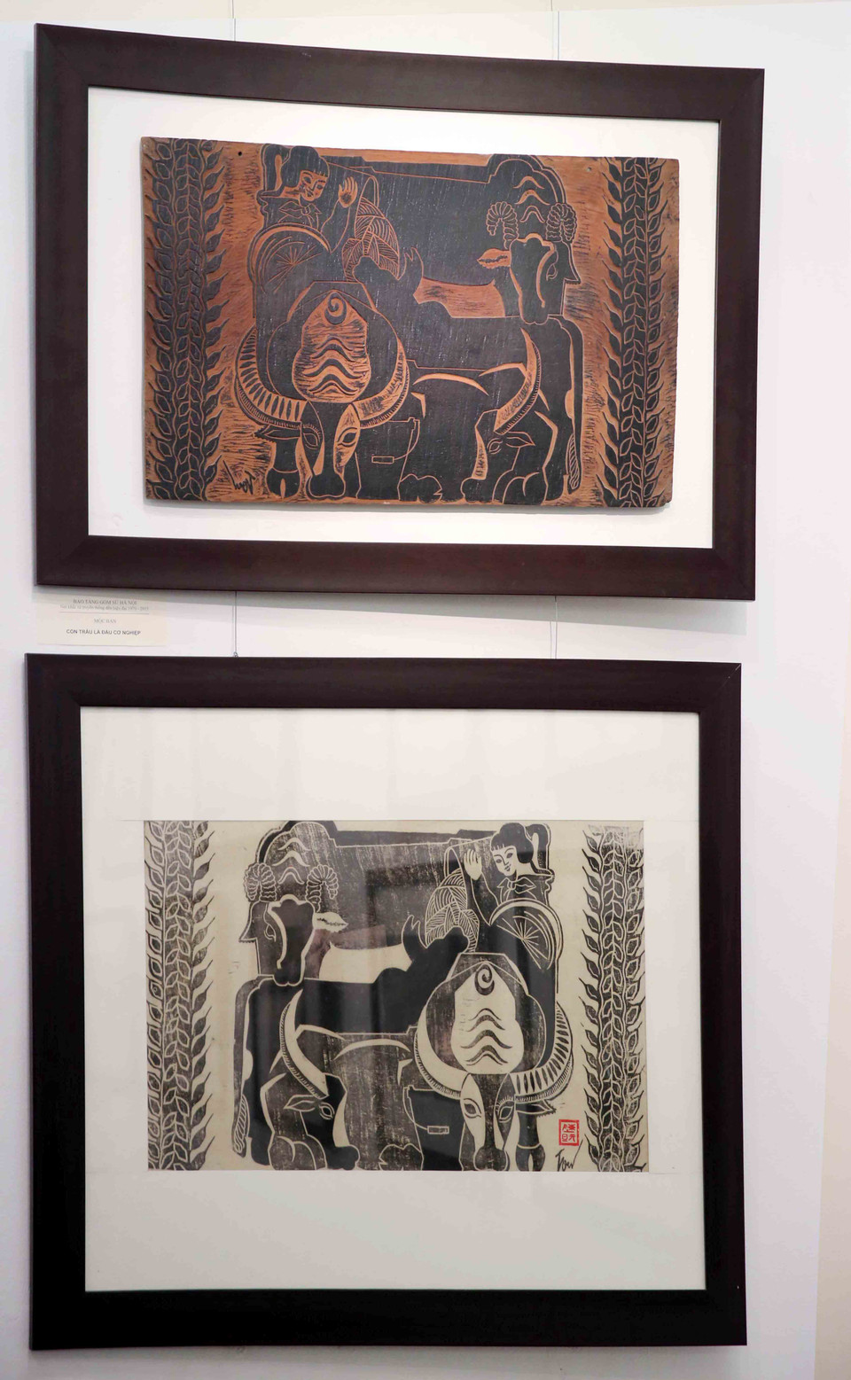 (Ảnh: Ngọc Tùng/Vietnam+)