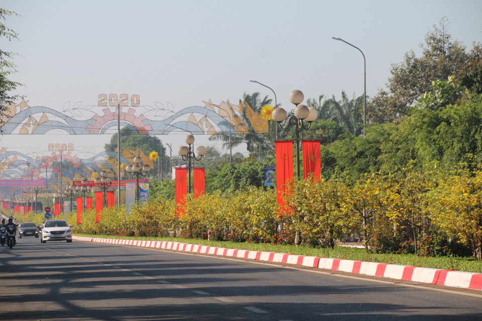 Con đường rực rõ hoa mai vàng ở trên đường Hùng Vương chạy qua thị trấn Ngãi Giao (Châu Đức, Bà Rịa-Vũng Tàu) điểm tô thêm sắc màu cho phố phường của Châu Đức những ngày Tết đến Xuân về. (Ảnh: Hoàng Nhị/TTXVN) 