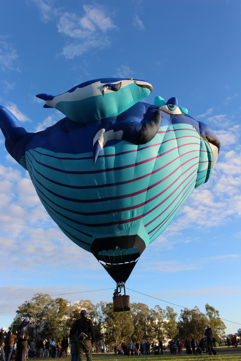  Cùng ngắm 'Quả bóng khổng lồ' bay lên cùng 'Chú phi công' và các hành khách nhí. (Ảnh: Sao Băng/Sydney)
