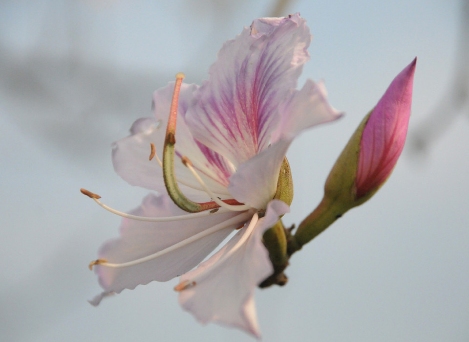 (Ảnh: Nguyễn Công Hải/Vietnam+)