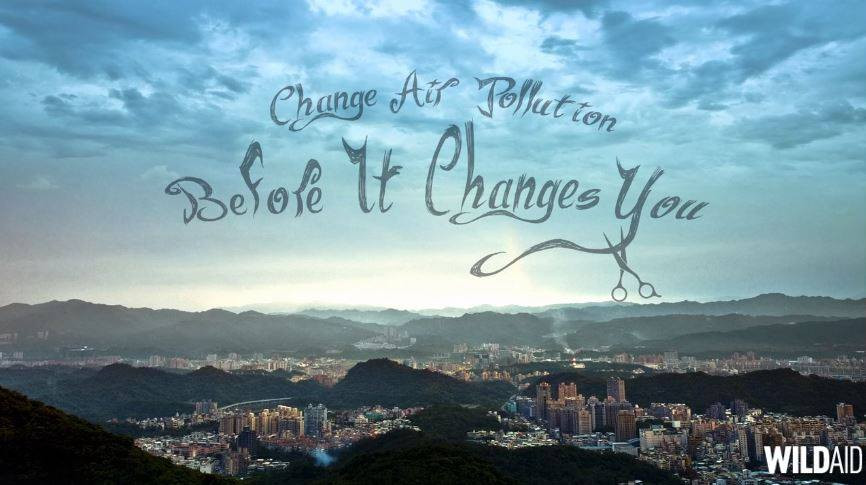 May Mei, đại diện WildAid ở Trung Quốc cho biết bộ phim nhằm kêu gọi người dân nước này đừng chờ đợi vào chính phủ mà hãy bắt đầu từ chính bản thân mình, tìm cách tích cực để thành phố thêm xanh. Đoạn video có nội dung: 'Thay đổi không khí trước khi nó thay đổi mình.' (Nguồn: CCTVNews)