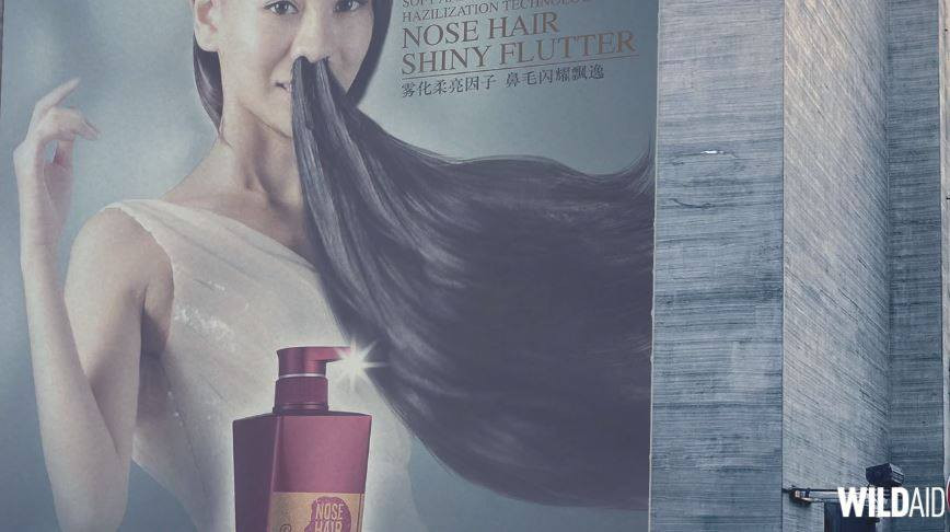 Đoạn video do nhóm này sản xuất dài 90 giây có tên 'Hairy Nose' đã vẽ lên hình ảnh con người với nhiều bộ phận tiến hóa mới, đặc biệt là lông mũi dài hơn. Cùng với hiện tượng đó, cuộc sống thường ngày của con người đã thay đổi, từ những hoạt động giải trí cho tới xu hướng thời trang. (Nguồn: CCTVNews)