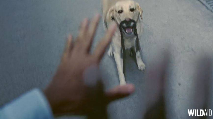 Đây là đoạn video trong chương trình GOblue của WildAid nhằm cổ động cho chiến dịch kêu gọi người dân hãy hành động ngay lập tức để hạn chế ô nhiễm không khí. (Nguồn: CCTVNews)