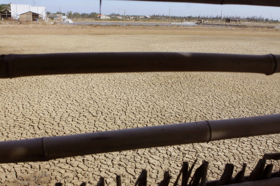 Một ao nuôi tôm chưa thể nuôi trồng trở lại do nước quá mặn tại xã Lịch Hội Thượng, huyện Trần Đề, tỉnh Sóc Trăng. (Ảnh: Duy Khương/TTXVN)