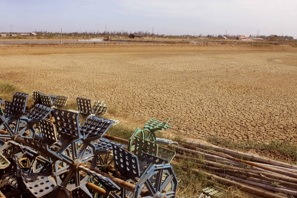  Một ao nuôi tôm chưa thể nuôi trồng trở lại do nước quá mặn tại xã Lịch Hội Thượng, huyện Trần Đề, tỉnh Sóc Trăng. (Ảnh: Duy Khương/TTXVN)