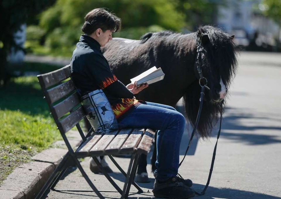 Chú ngựa ở Slaviansk, Ukraine. (Nguồn: Reuters)