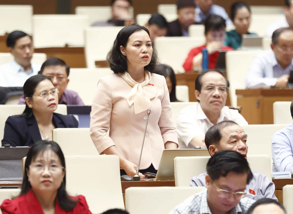 Đại biểu Quốc hội tỉnh Bà Rịa-Vũng Tàu Huỳnh Thị Phúc đặt câu hỏi chất vấn. (Ảnh: Doãn Tấn/TTXVN)