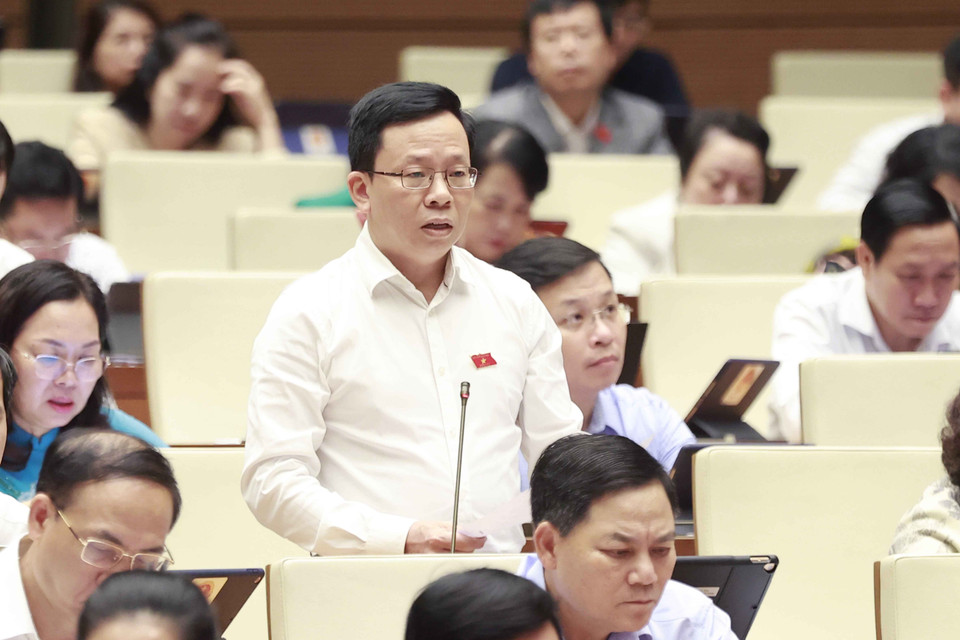 Đại biểu Quốc hội tỉnh Hậu Giang Lê Minh Nam tranh luận. (Ảnh: Doãn Tấn/TTXVN)