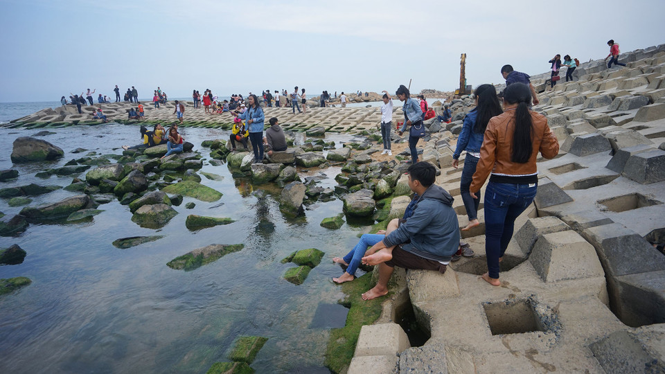 Hàng nghìn du khách và cả những người dân thành phố Tuy Hòa, Phú Yên đã đổ về 'Bãi rêu xóm Rớ' trong những ngày nghỉ lễ vừa qua. (Ảnh: Tùng Lâm/Vietnam+)