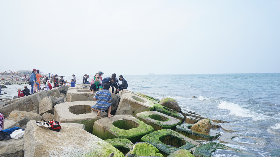 Vì thế, Bãi rêu xóm Rớ nhanh chóng thu hút được sự quan tâm của người dân các vùng lân cận. (Ảnh: Tùng Lâm/Vietnam+)