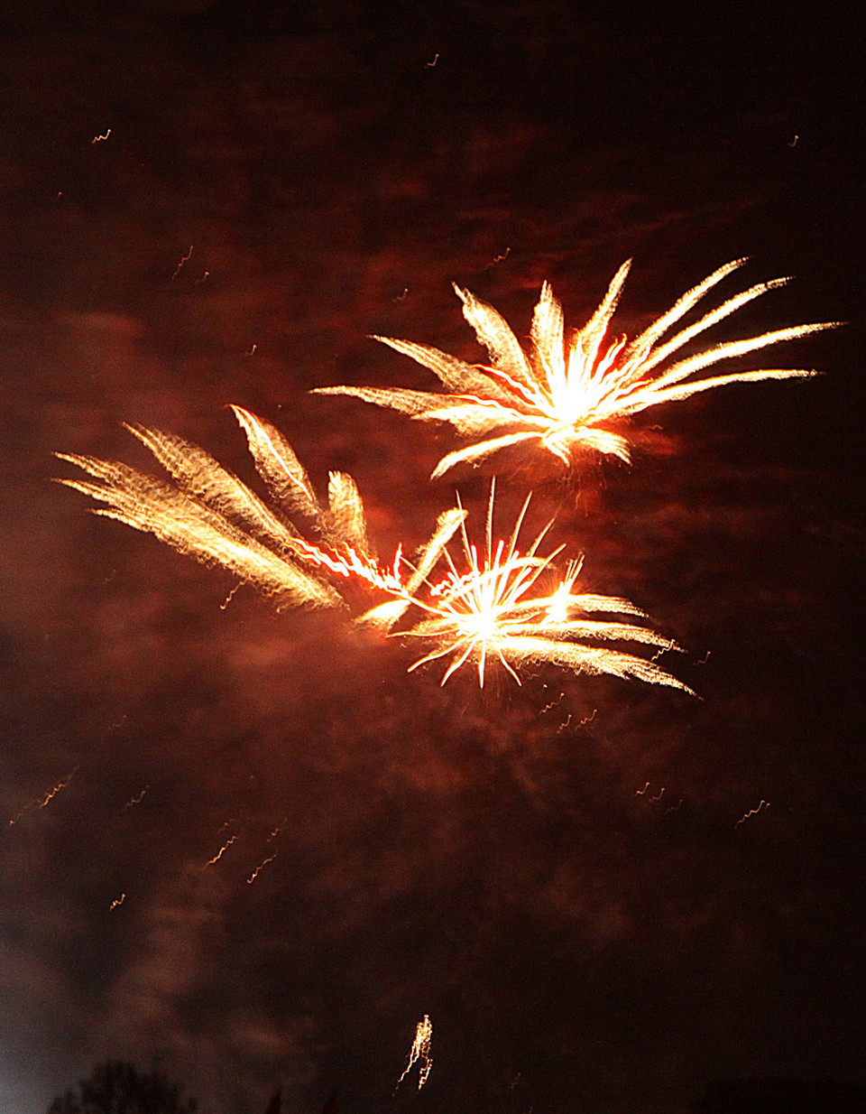 Bắn pháo hoa chào mừng Festival hoa Đà Lạt 2015. (Ảnh: Dương Giang/TTXVN) 