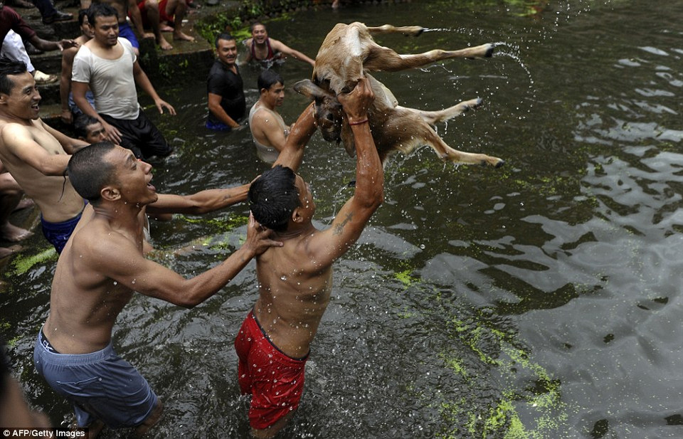 Lễ hội Deopokhari có nguồn gốc từ văn hóa Newari nổi tiếng với những màn nhảy múa, ẩm thực và rượu trong suốt các buổi lễ. (Nguồn: Dailymail)