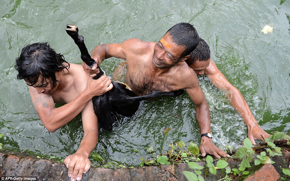 (Nguồn: Dailymail)