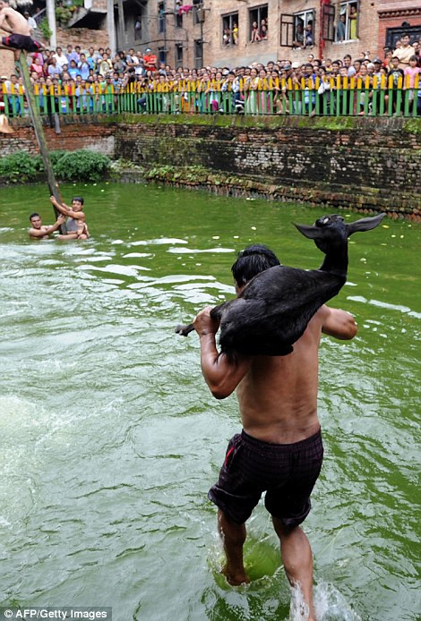 (nguồn: Dailymail)