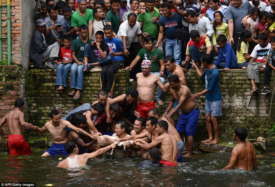 (Nguồn: Dailymail)